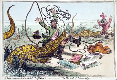 The Pursuit of Knowledge by James Gillray